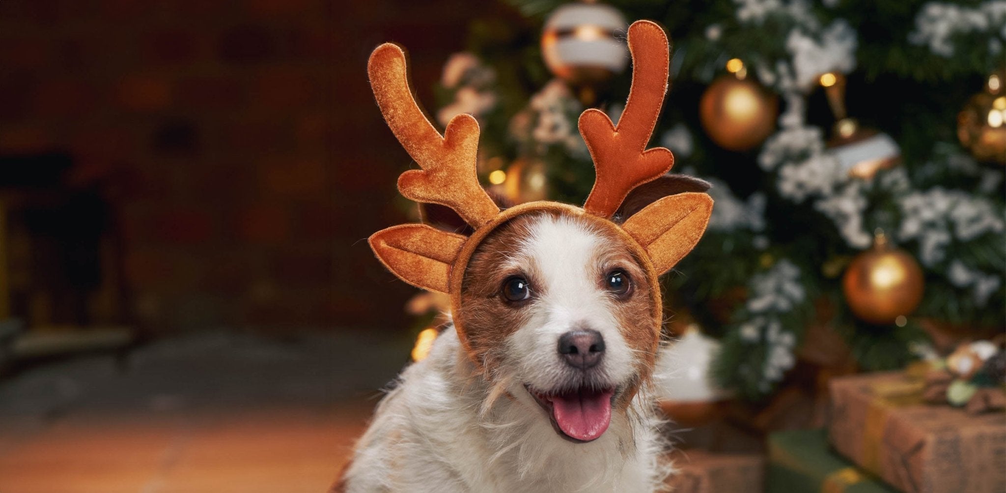 Wichtelgeschenke für Haustierbesitzer - Infinity Paws