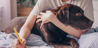 Andenken an Haustiere – 5 Ideen für persönliche Erinnerungsstücke